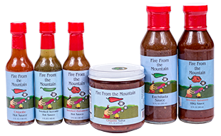 FFTM Sampler